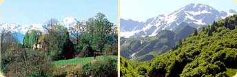 Views of the Pyrenees